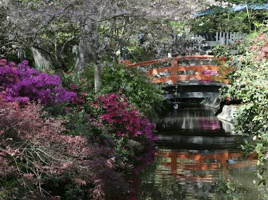 Descanso Gardens photo 3