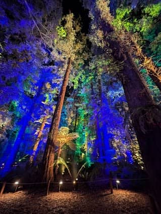 Descanso Gardens photo 5