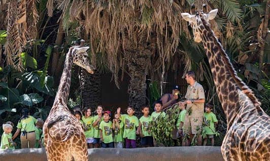 Los Angeles Zoo photo 2