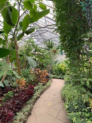 Allan Gardens Children's Conservatory