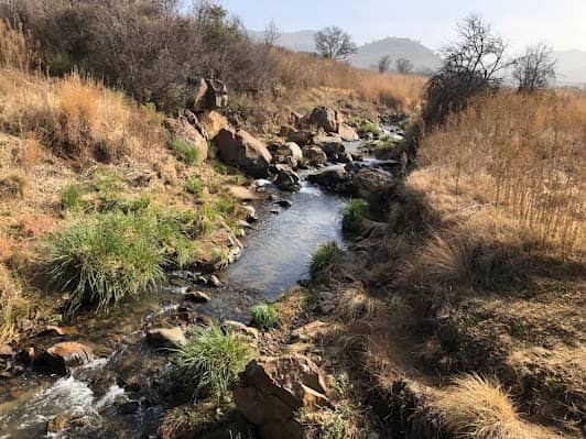 Klipriviersberg Nature Reserve photo 6