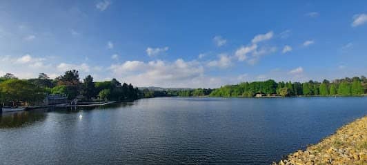 Emmarentia Dam photo 7