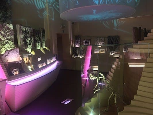 Museo di Storia Naturale Giancarlo Ligabue (Fondaco dei Turchi)