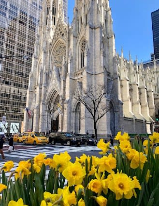 Complete 9-day guide to New York & Miami, USA with Top attractions and Hidden Gems