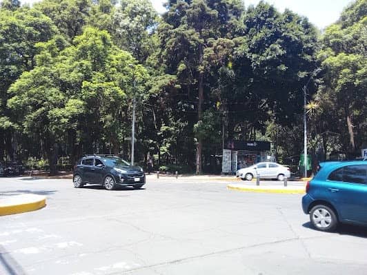 Parque mexico photo 6