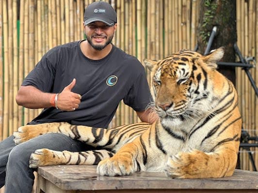 Tiger Kingdom