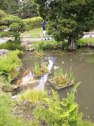 Golden Gate Park photo 6