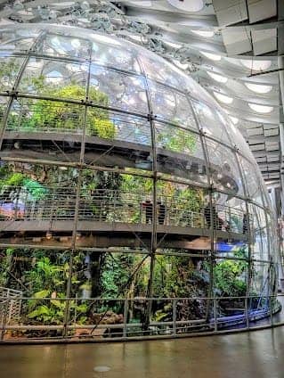 California Academy of Sciences photo 6