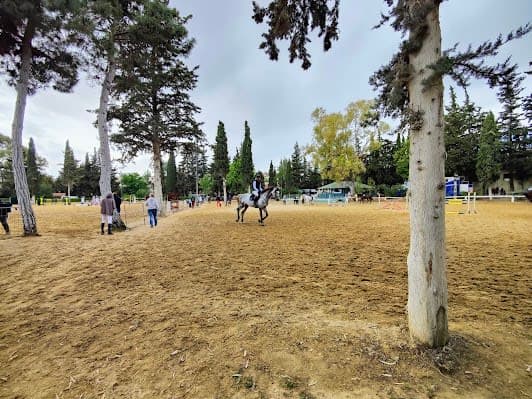 HELLENIC RIDING CLUB
