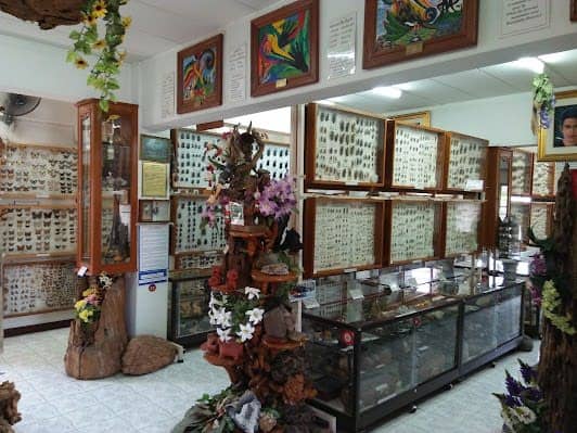Museum of World Insects and Natural Wonders photo 6