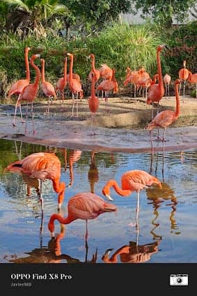Barcelona Zoo photo 3