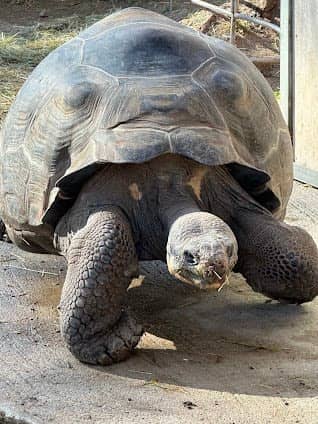 Barcelona Zoo photo 5