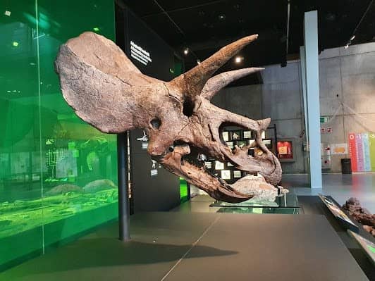 CosmoCaixa Museum of Science photo 5