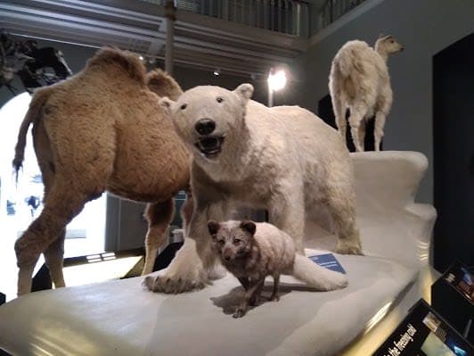 National Museums Collection Centre