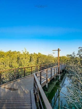 Jubail Mangrove Park
