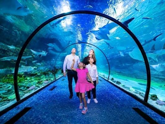The National Aquarium Abu Dhabi photo 6