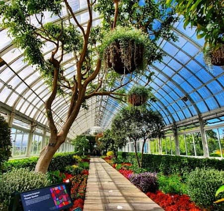 New York Botanical Garden photo 7