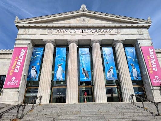 Shedd Aquarium photo 7