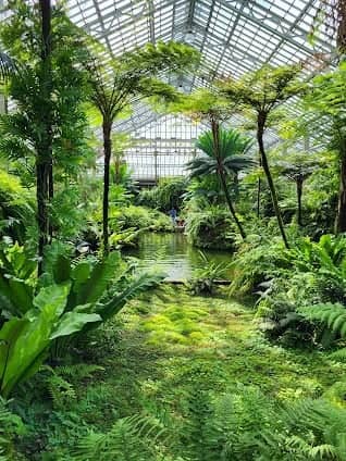 Garfield Park Conservatory photo 6