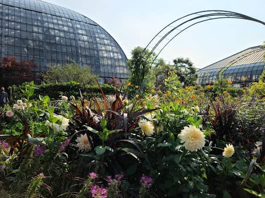 Garfield Park Conservatory photo 7
