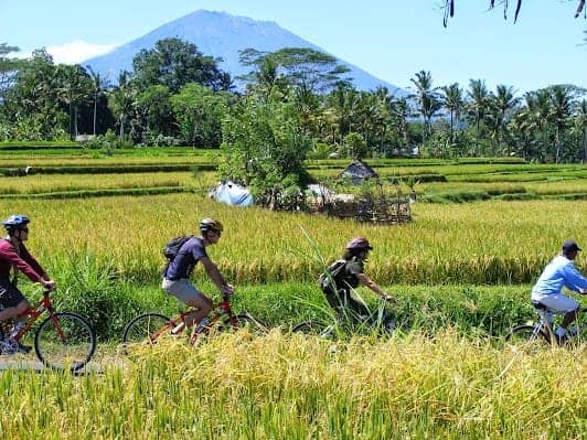 Bali Eco Cycling photo 6