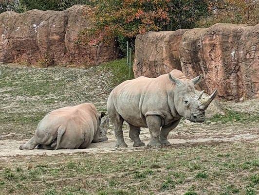 Toronto Zoo photo 2