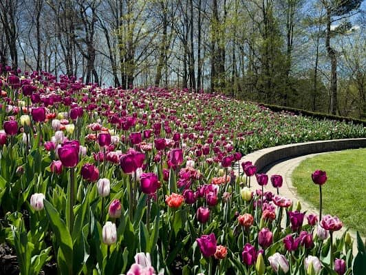 Toronto Botanical Garden photo 3