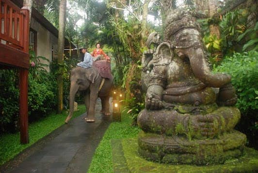 Elephant Safari Park Lodge Bali photo 5