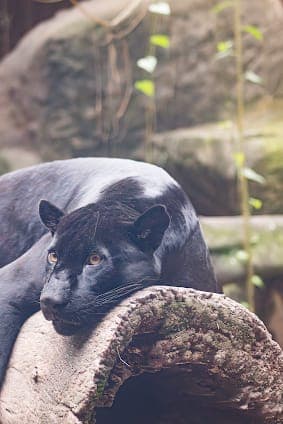 BioPark of Rio
