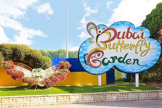 Dubai Butterfly Garden photo 6