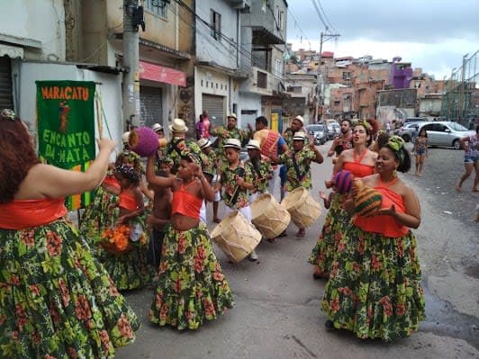 PiPA (Associação PIPA)