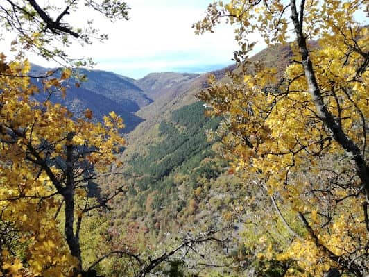 Riserva Naturale Regionale Monte Genzana e Alto Gizio photo 3
