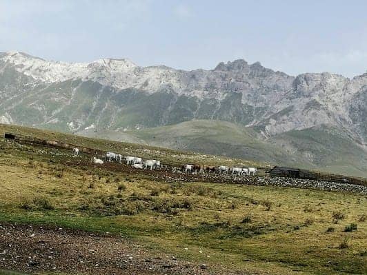 Riserva Naturale Regionale Monte Genzana e Alto Gizio photo 5