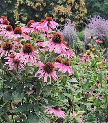 Botanical Garden