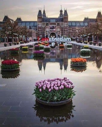 Complete 10-day guide to Amsterdam & Rotterdam, Netherlands with Top attractions and Shopping and Hidden Gems itinerary cover