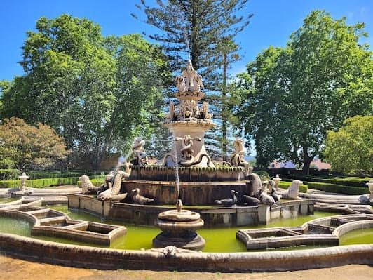 Jardim Botânico da Ajuda photo 4