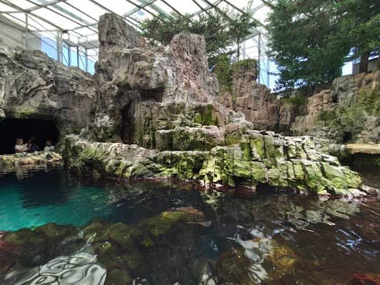 Oceanário de Lisboa photo 4