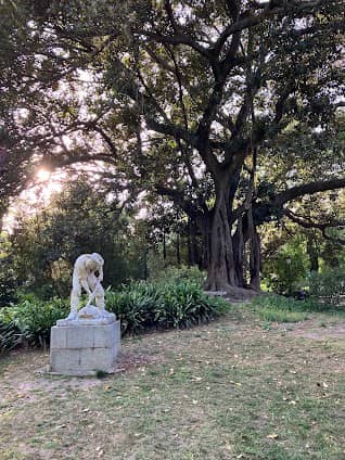 Jardim da Estrela photo 4