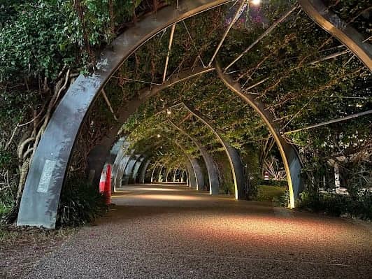 South Bank Parklands photo 5