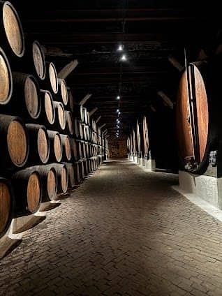 Sandeman photo 3