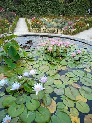 Jardim Botânico do Porto | Museu de História Natural e da Ciência da U.Porto photo 4