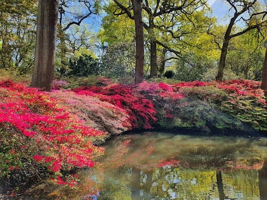 Richmond Park