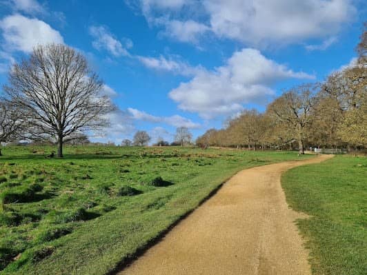 Richmond Park photo 3