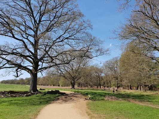 Richmond Park photo 4