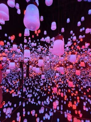 teamLab Borderless: MORI Building DIGITAL ART MUSEUM photo 4