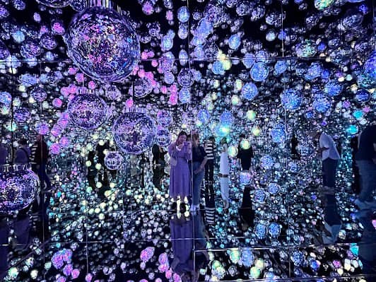 teamLab Borderless: MORI Building DIGITAL ART MUSEUM photo 4