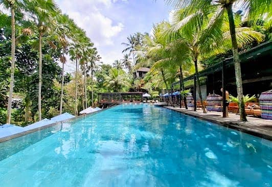 Jungle Fish Bali photo 4