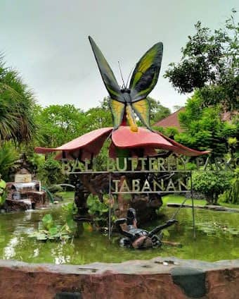 Bali Butterfly Park Tabanan photo 4