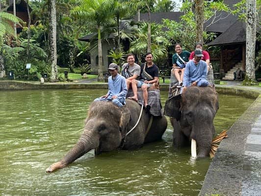 Mason Elephant Park & Lodge photo 7