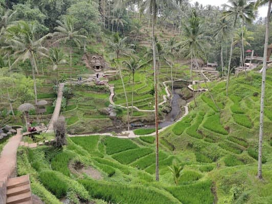 Real Bali Swing photo 4